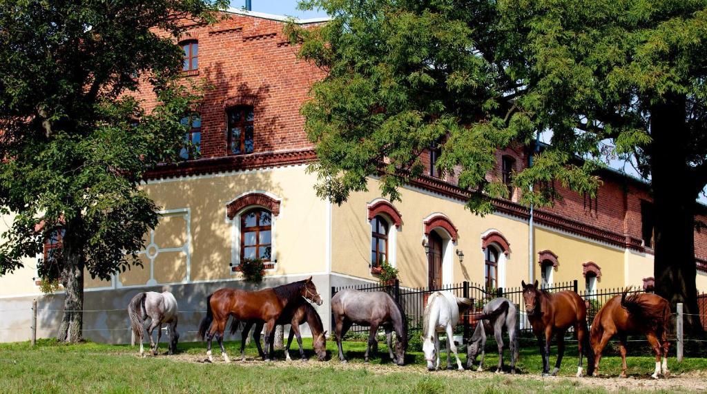 Pension Rothschilduv Dvur Villa Bělá Bagian luar foto